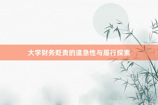 大学财务贬责的遑急性与履行探索